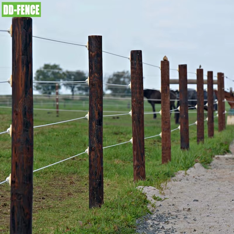 Cheval derrière une clôture électrique de paddock professionnel